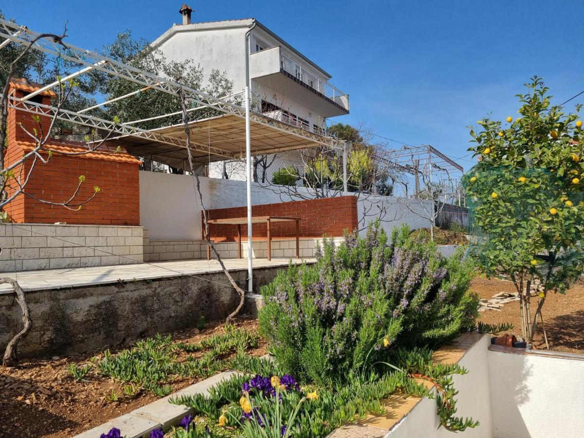 Villa Nena In Central Dalmatia โตรกีร์ ภายนอก รูปภาพ